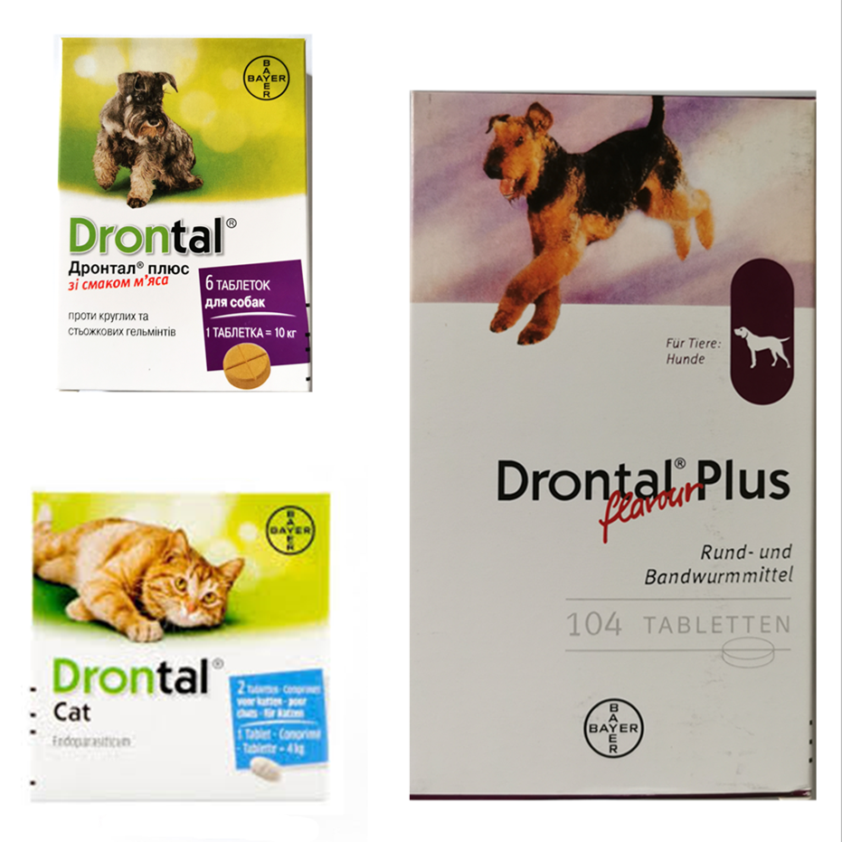 Drontal Plus For Dog and Cat Deworm