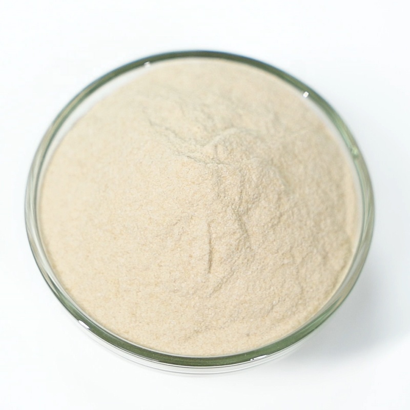 Modified Citrus Pectin Food Ingredients E440 Citrus Pectine Pectin Powder