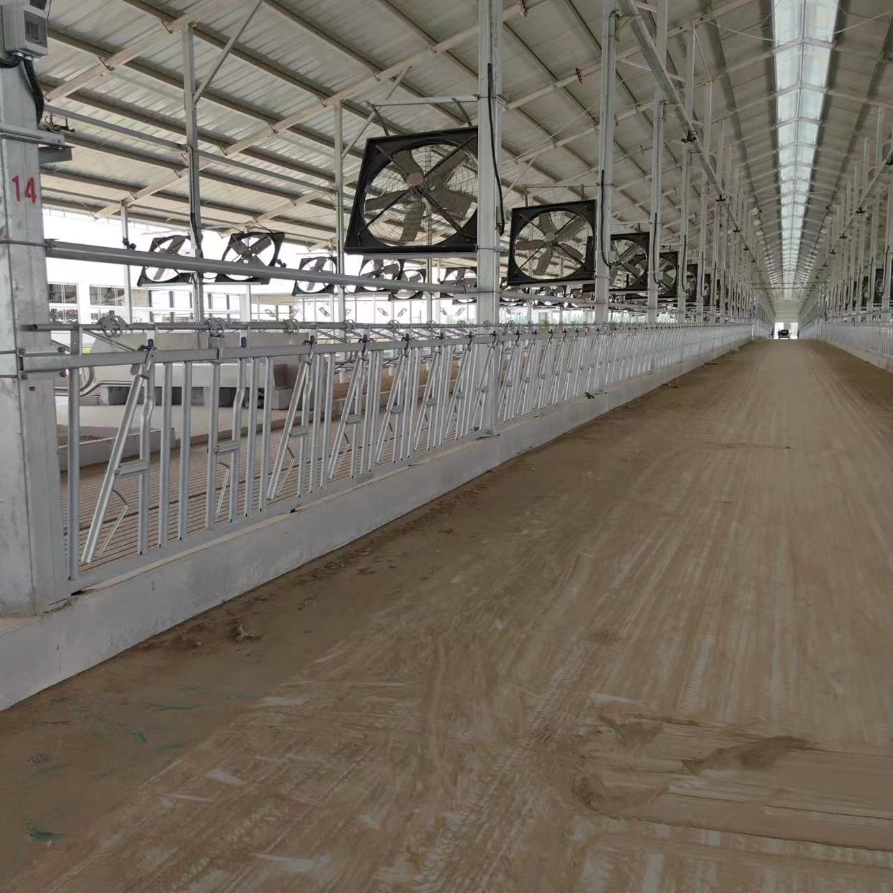 New Dairy Cattle Breeding Equipment Steel Cow Headlock Livestock Panel Bull Neck Clip Ox Frame Accessories Home Farms Used