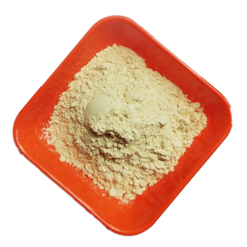 Factory Supply 98% lysine feed grade CAS 26124-78-7 lysine hydrochloride powder