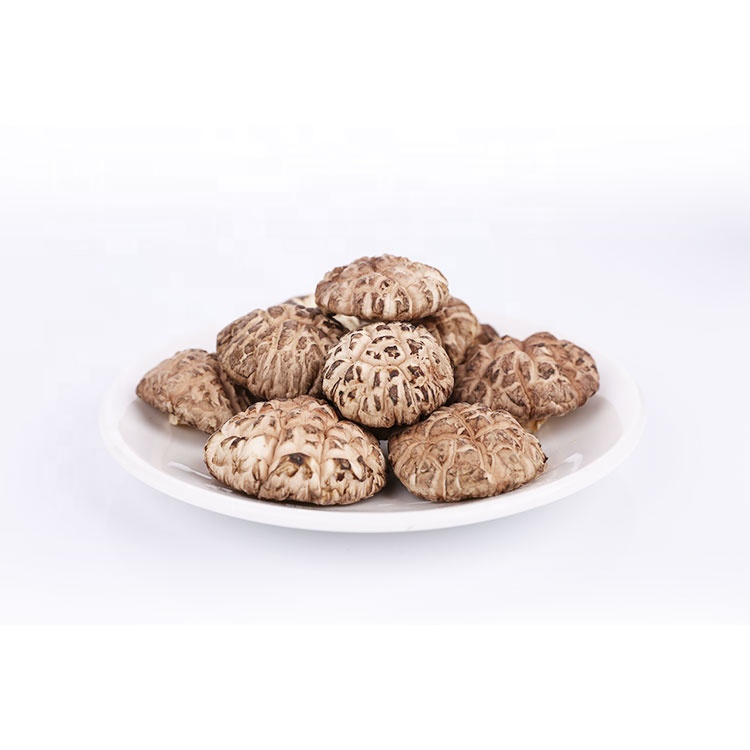 whole dried flowers mushroom dried mushroom dried mushroom flower high quality