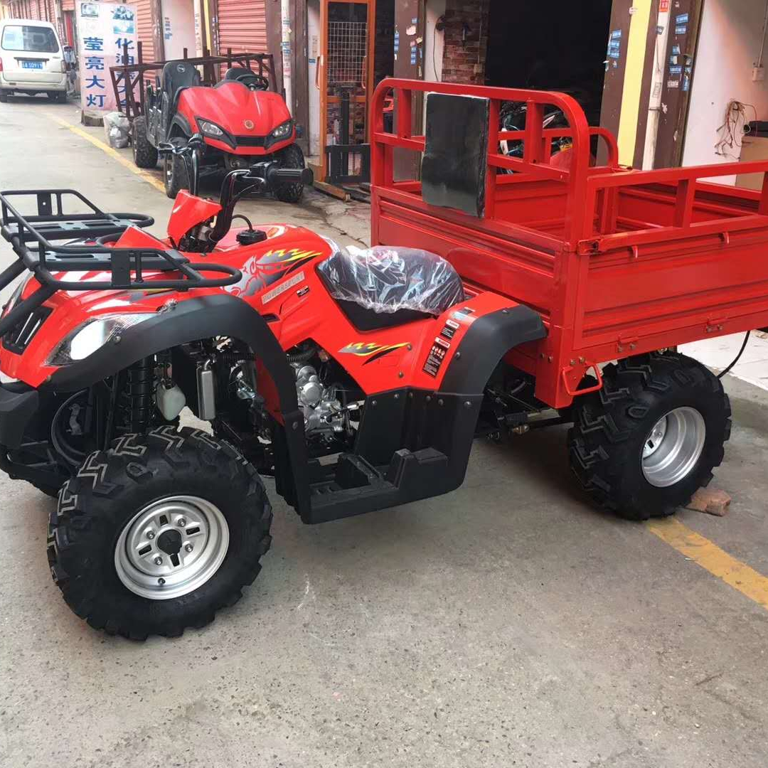 250CC ATV самосвал 2wd управления 2 задними камерами колеса Железный обод