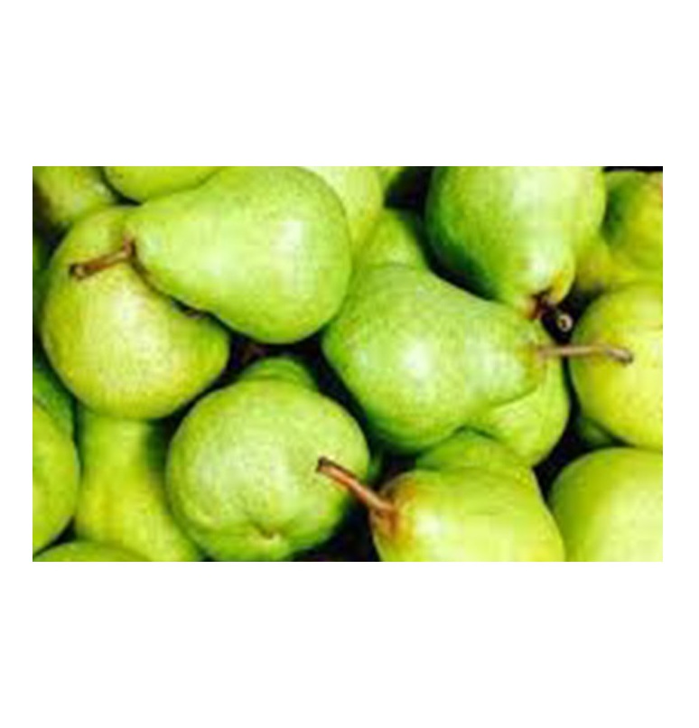 Южная Африка, супер качество, свежие PACKHAM TRIUMPH PEARS, оптовая продажа