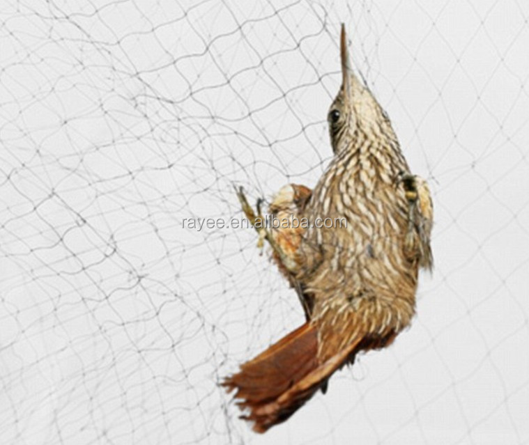 Сетки netze fr vogelfang для распыления птиц