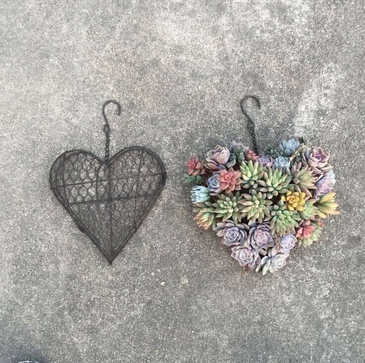 Heart Shaped Wine Fer Planting Garden Decoration Hanging Potted Planting Tool