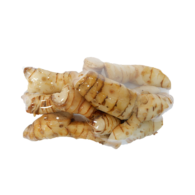 Galangal Fresh Vegetables other Food Health Care Products Best Selling Product from Thailand