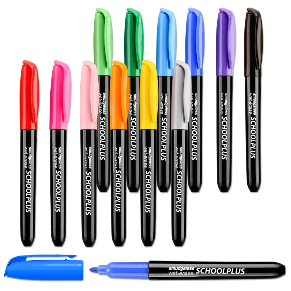 12 colors Fine Tip Smudge-Free VIS A VIS Dry/Wet Erase Markers Works for Dry-Erase Whiteboards