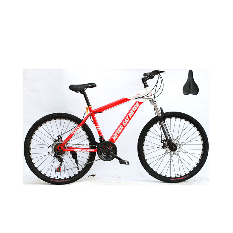 Fast shipping e bike mountain bike/Made in China mountain bike