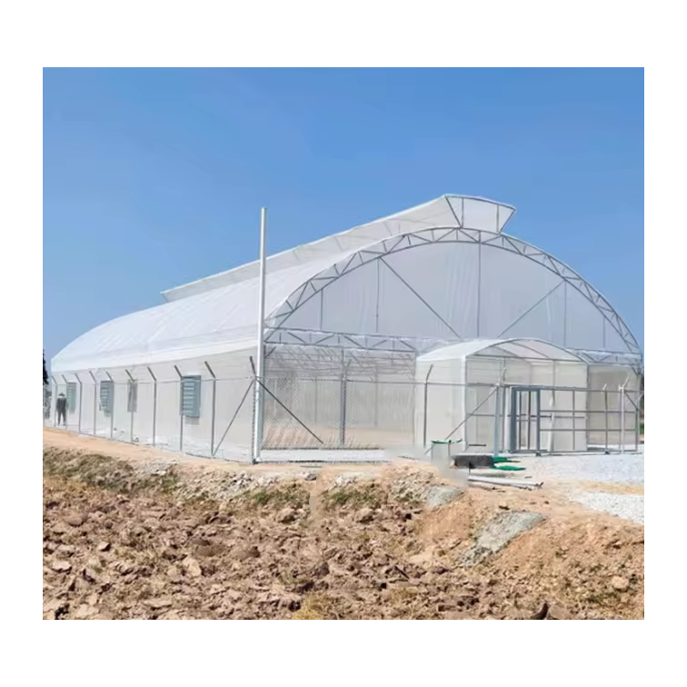serre agricole green house metal frame horticulture tropical greenhouse price