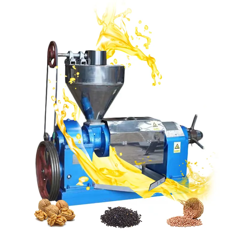 Automatic Moringa Maseed Oil Extraction Mini Oil Press Sunflower Oil Press Machine Peanut/avocado/coconut/soybean/olive Provided