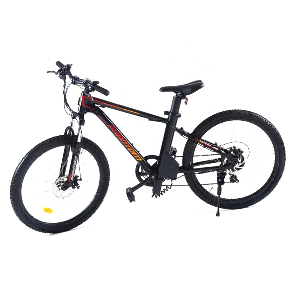 2020 hot sale E-MTB 36v 350w electric mountain bike