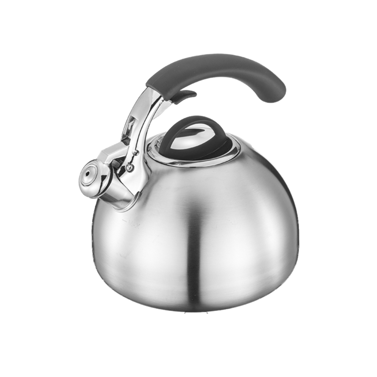 Realwin Push Button New Style Stainless Steel Quick Water Boiling Tea Whistling Kettle With Soft-Touch Handle