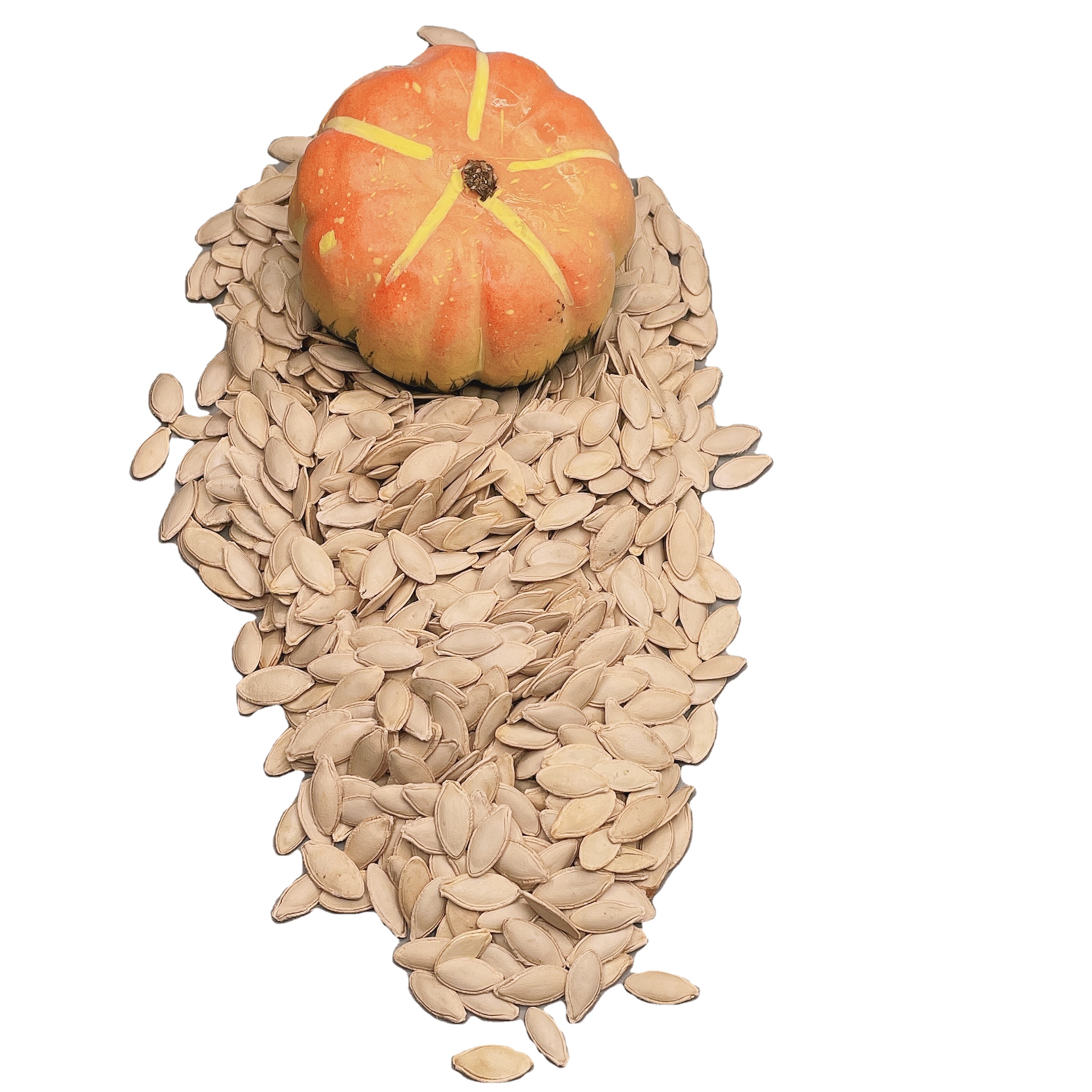 China factory price pumpkin seeds lady nail new crop China factory wholesale price lady nail pumpkin seeds suppliers