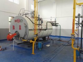 WNS0.5 до 20 тонн дизельное топливо природный газ сжиженный паровой котел