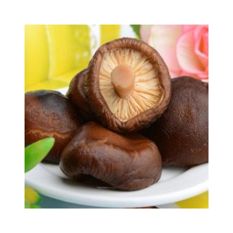 Hand-selected Healthy Delicious Family Food Magic Mushroom Bulk Dried Shiitake Mushrooms