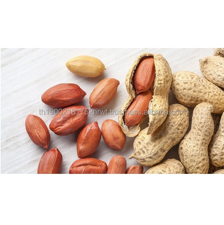 Sudanese Raw Peanut Seeds Grain Export Quality Agricultural Production Thailand Export 100% Natural