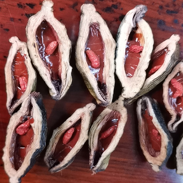 Горячие продажи betel гайка для продажи в Китае