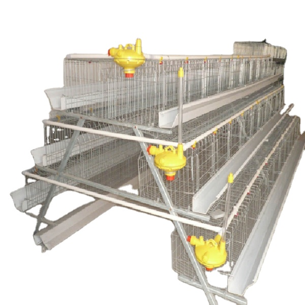 H Type fully automatic dimension for 1000 live chickens battery layer poultry cage to transport for sale