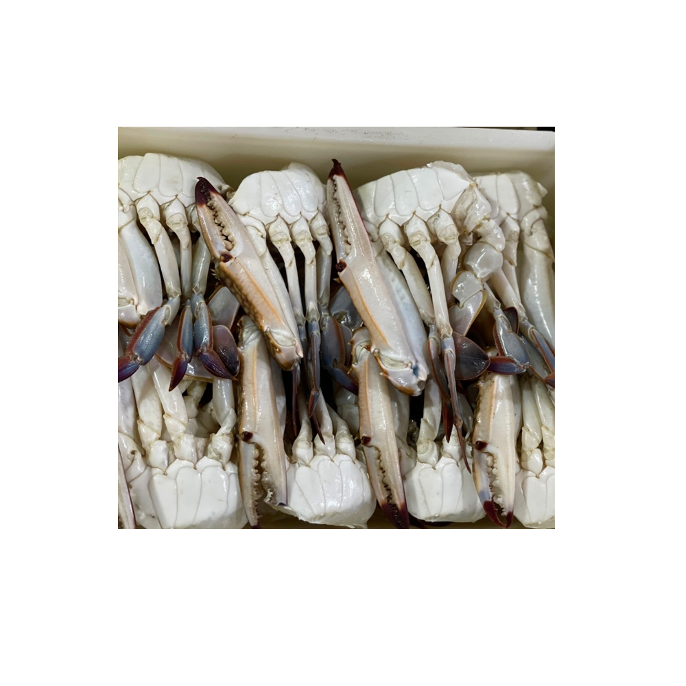Голубые крабы, быстрозамороженные паровые набивные булочки, продукты премиум-класса от производителя из Таиланда