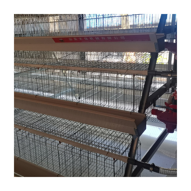 New Design Poultry Cages For Sale With Type A Laying Hens Cages Can Hold Up To 120 Birds