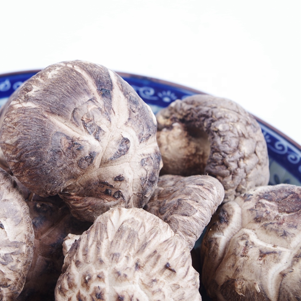 Сушеный чай Shiitake, грибы 1 кг оптом