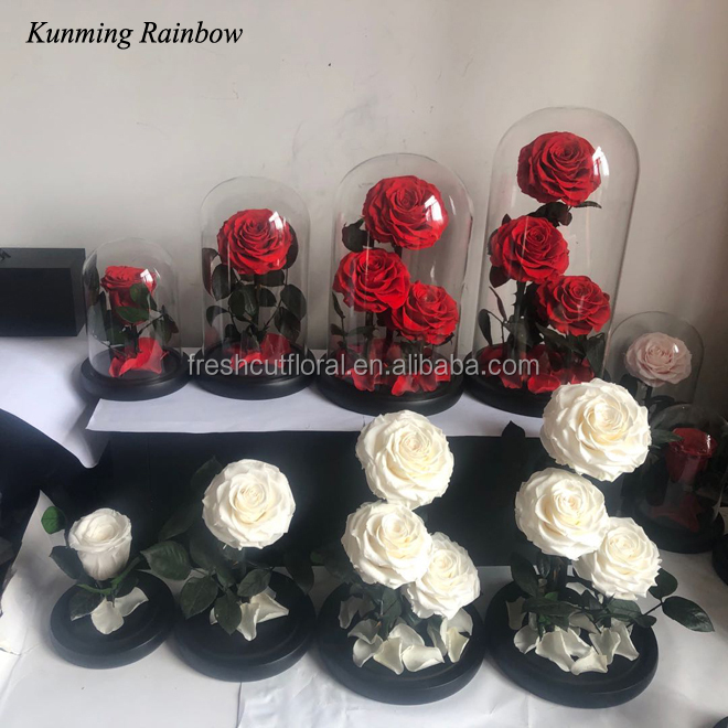Kunming Dounan, Цветочный центр, прямая продажа, вырезанные свежие розы вечности в стеклянном куполе