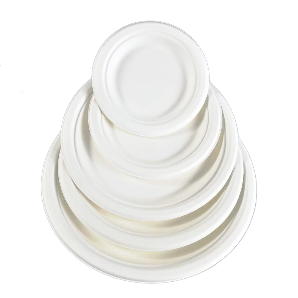 compostable food packaging biodegradable food container bagasse dinnerware sets