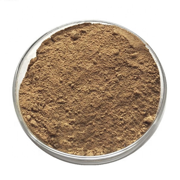 Bacillus coagulans имеет высокую чистоту и активность
