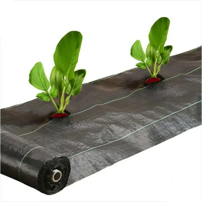 Anti Weed Mat Weed Control Barrier Landscape Mulching Fabric For Greenhouse