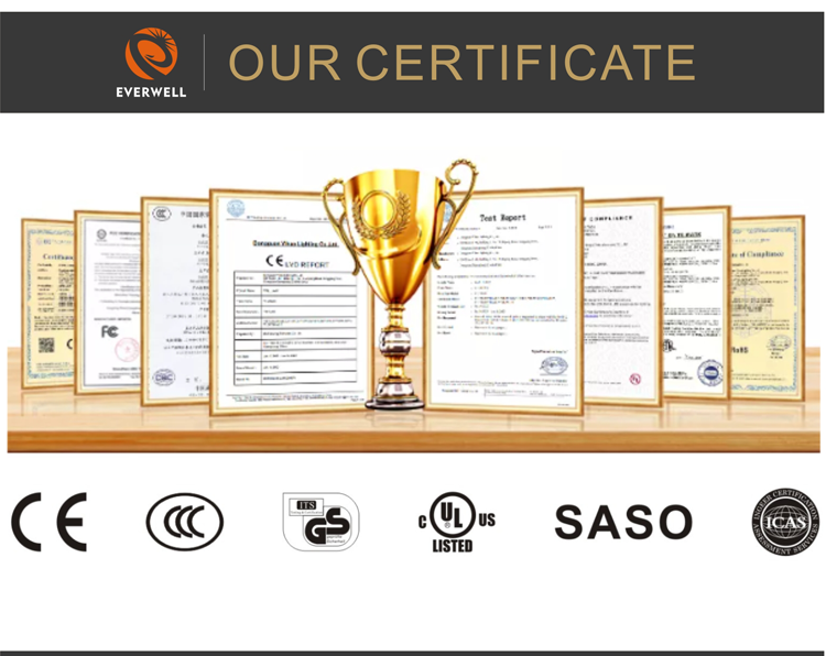 Modern Concise Style Indoor Living Room Silica gel Lampshade Led Pendant Light