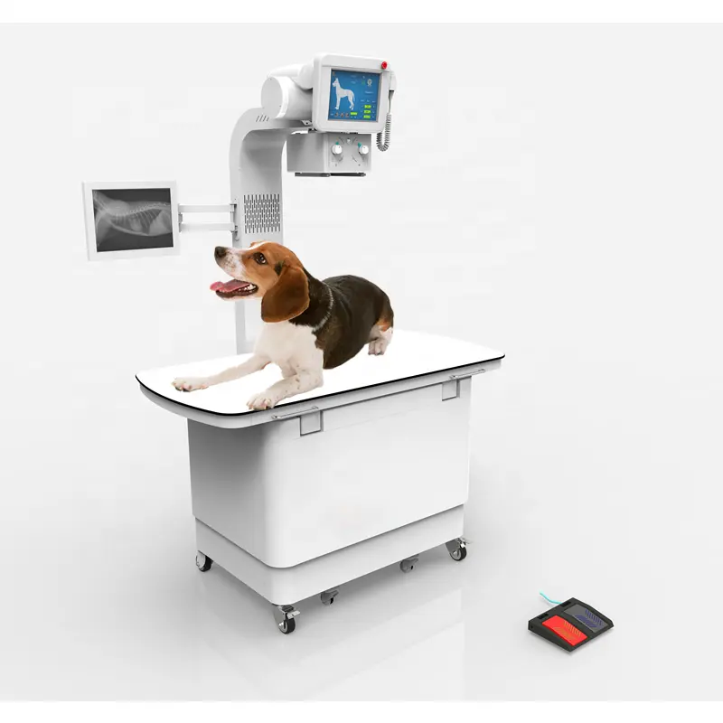 WTX-20DR Hot Sale 320mA Digital X-ray Machine For Veterinary