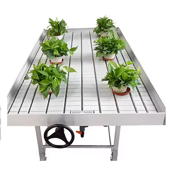 Plant nursery agricultural equipment seeding bed for vegetable growing