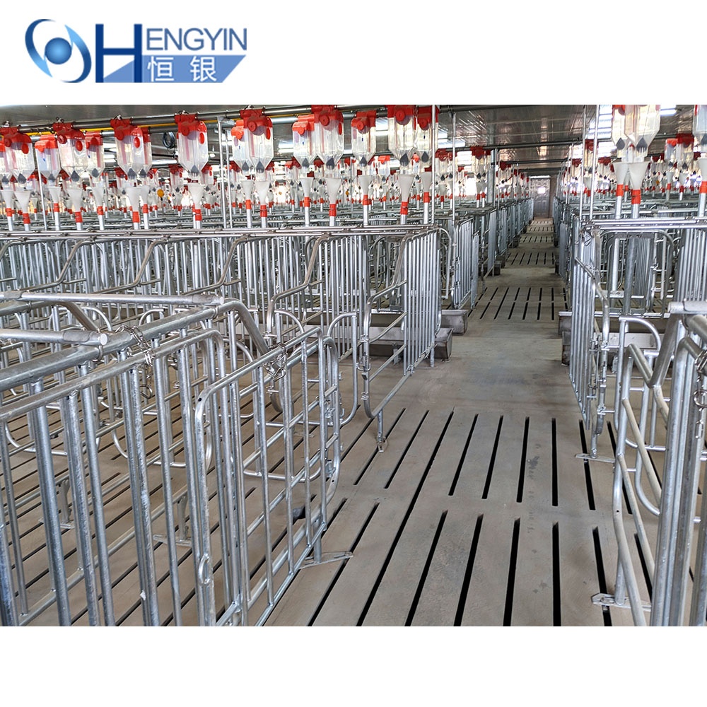 wholesale price livestock equipment piggery equipment pig farm hog cages for sow
