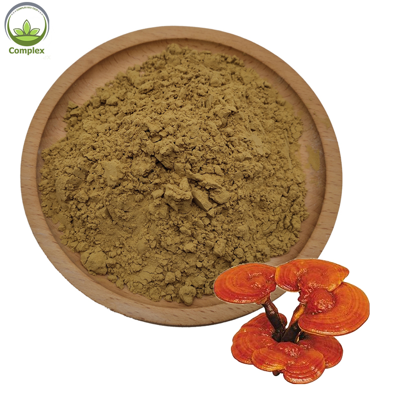 Wholesale price organic reishi mushroom extract