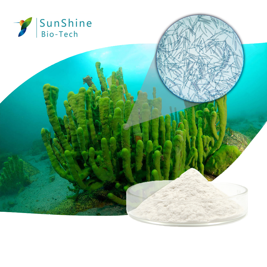 Косметический компонент, губка, гидролизованный гликозид, spongilla spicule порошок
