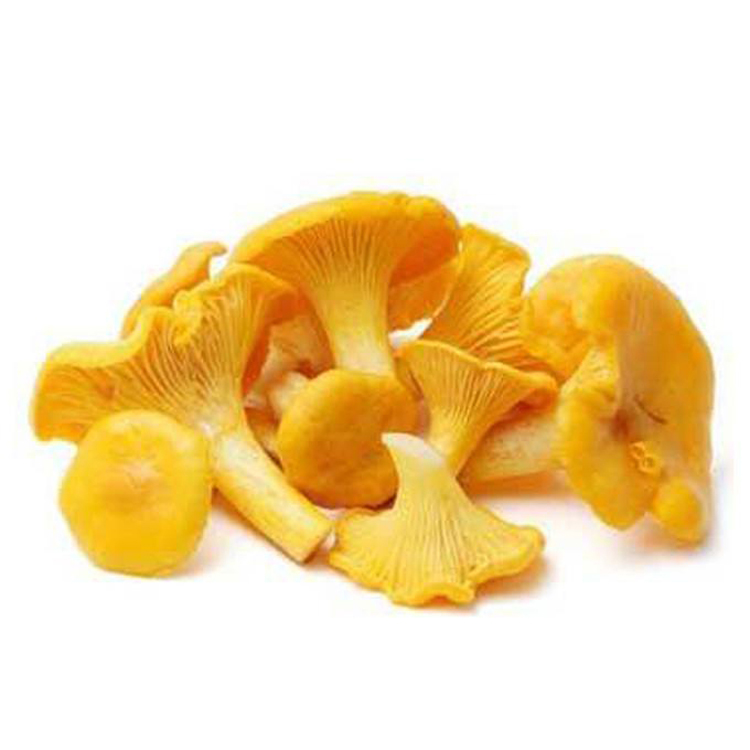 Сушеный кантареллус cibarius желтый цвет Дикие грибы Chanterelle