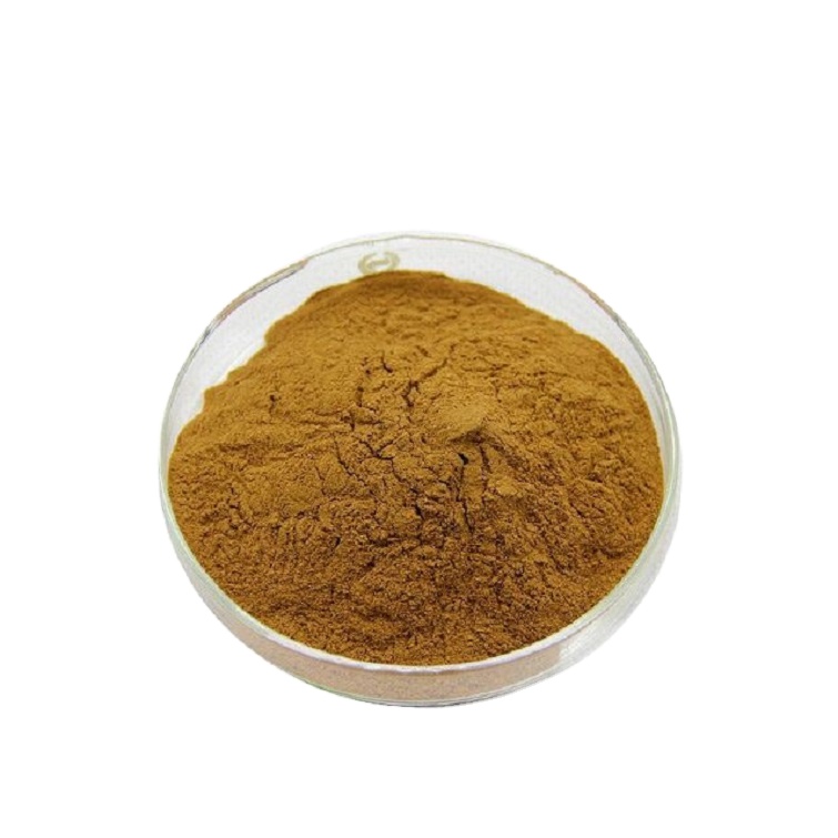 Pure Natural High Purity Delivery in Time Ilex Paraguariensis Extract