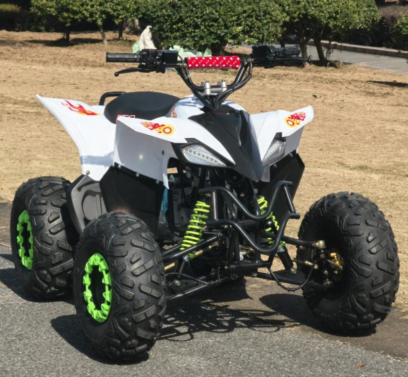 4-Stroke 200cc Mini Polaris Mountain Style Snowmobile Air-Cooled Off-Road Vehicle Snow Scooter Chinese 125cc Snowmobile for Sale