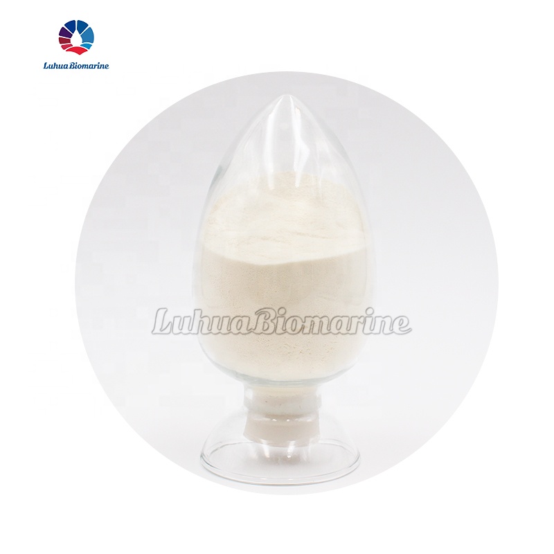 Premium krill gym protein powder