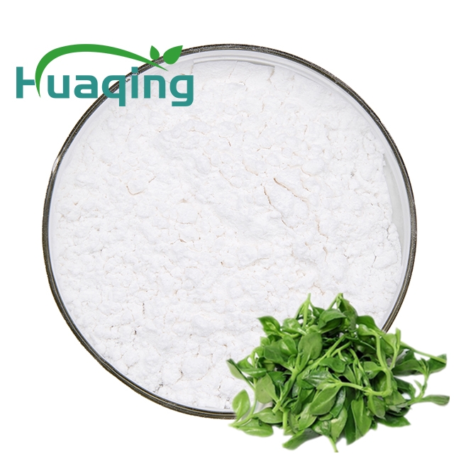 ISO certificate Andrographis Paniculata Extract/Herba Andrographitis Powder/High Purity Andrographolide