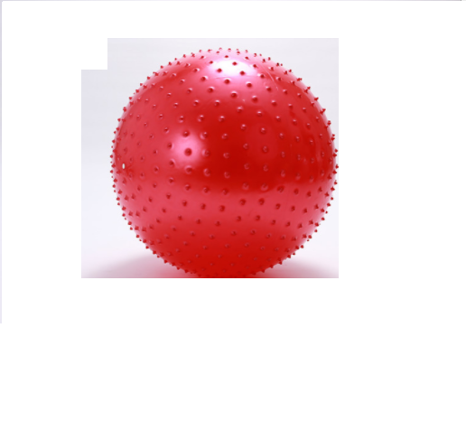 Exercise Gym Burst Exercise Stability Swiss Balance Trainer Pvc Yoga Ball yoga massage peanut balls