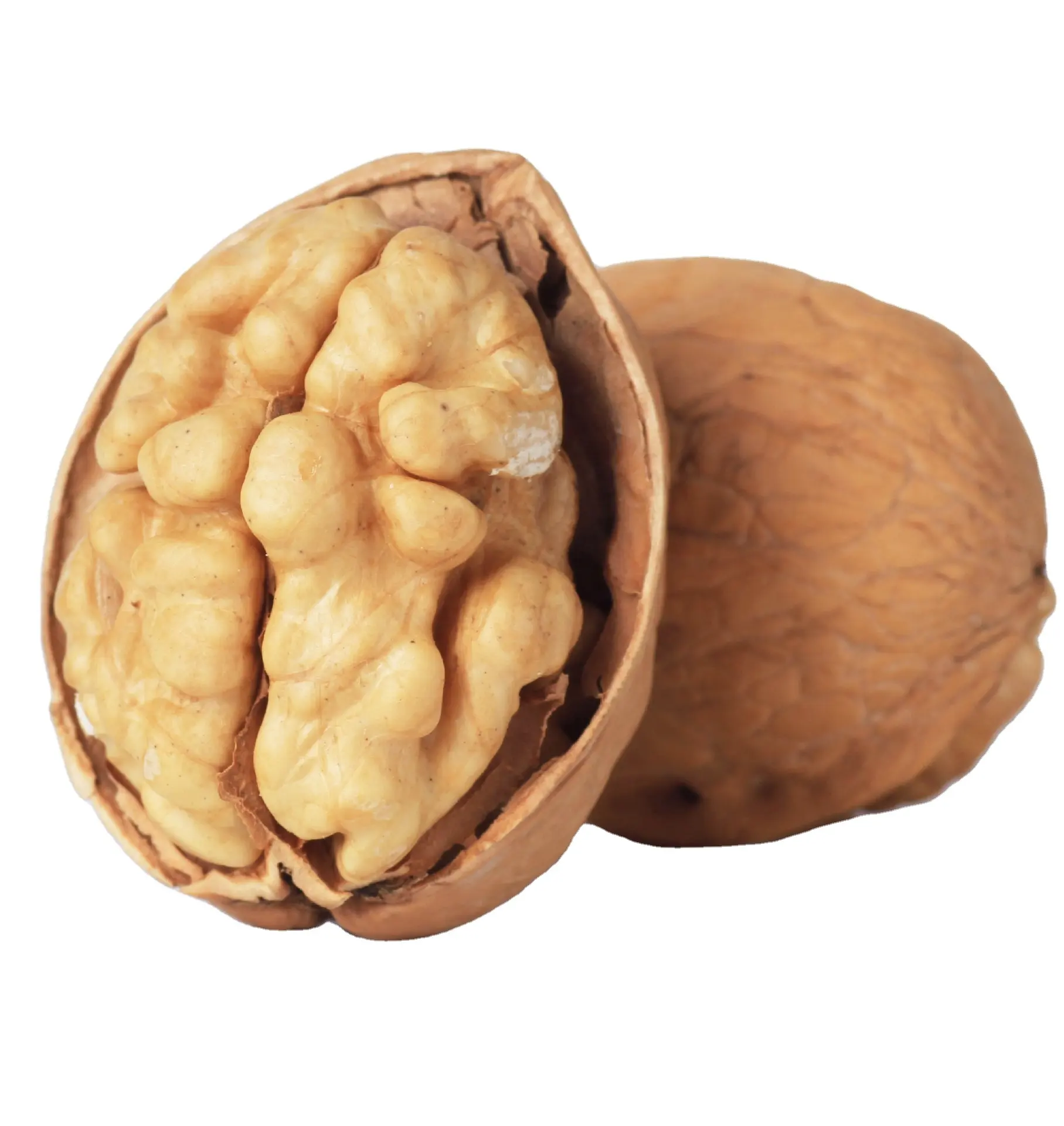 Wholesale premium quality delicious washed chinese  33 type dried walnut in shell