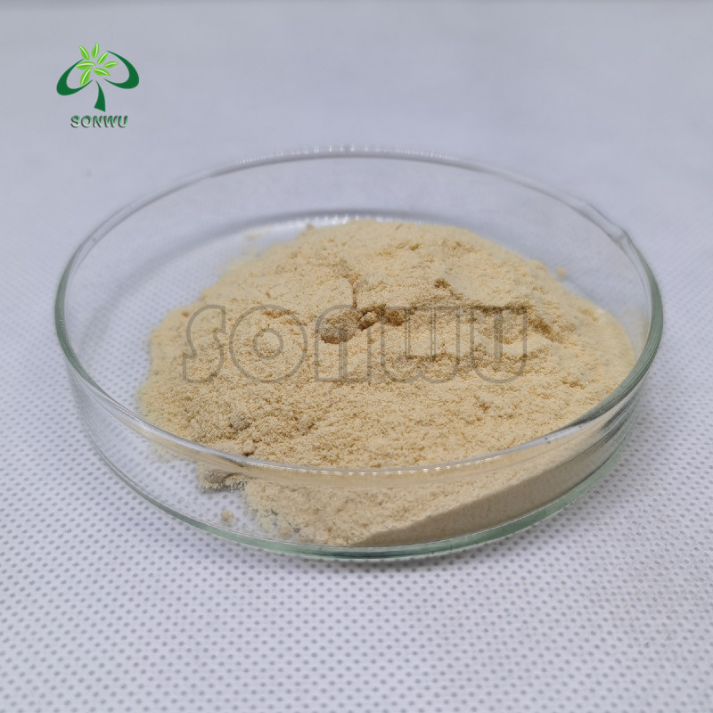SONWU SUPPLY Natural Ginger Powder Extract Ginger Extract Powder