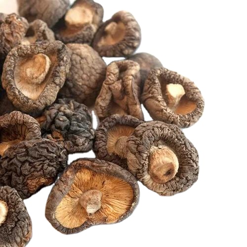 Оптовая продажа сушеных грибов Shiitake