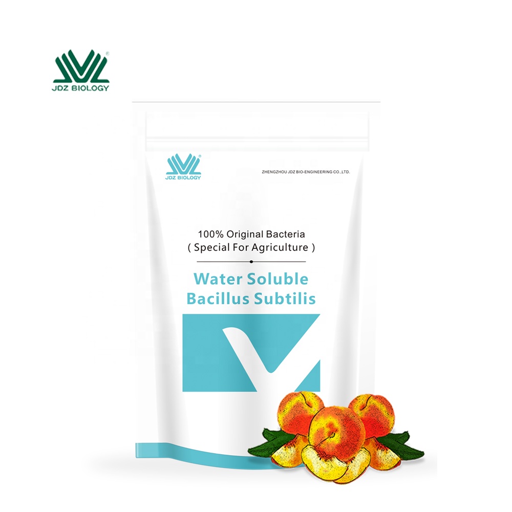 Probiotic Bacillus subtilis100Billion for Crops Agriculture