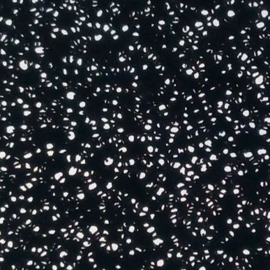 Laboratory Super Conductive Carbon Foam C Metal Foam for Battery Research
