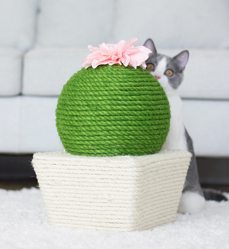Когтеточка Sisal в форме кактуса для кошек, Когтеточка с шариком для шлифовки зубов и когтей