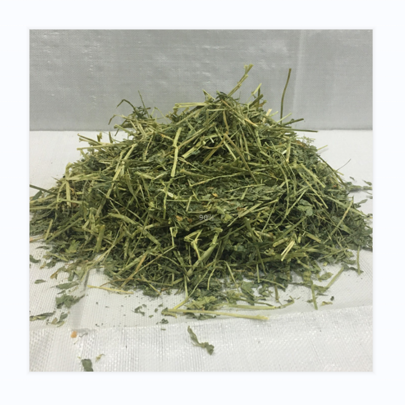 American Good Quality Alfalfa Hay Timothy Hay Oaten Hay for Sale