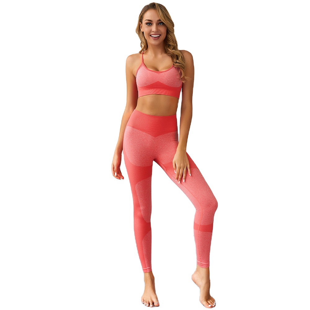 Breathable Quick Dry Custom Seamless Womens Sports Set High Quality Sport Woman Clothes Yoga Gym Fitness Set