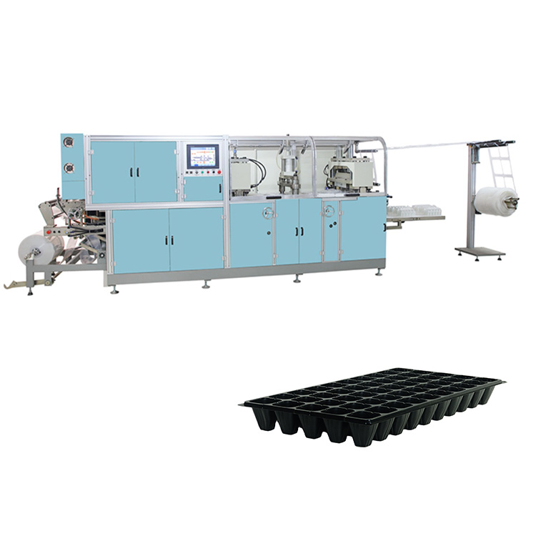 Biodegradable Food Container Egg Tray Making Machine
